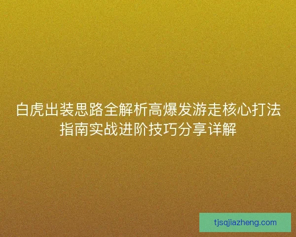 白虎出装思路全解析高爆发游走核心打法指南实战进阶技巧分享详解